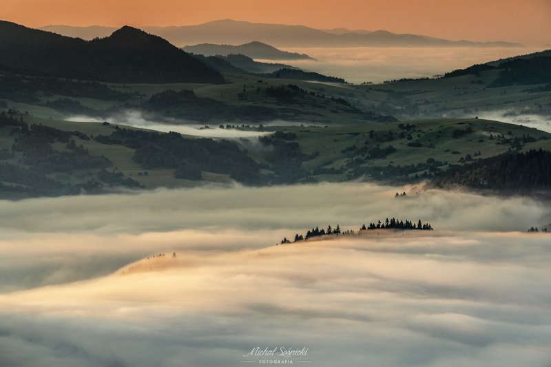 Foggy morning... фото превью