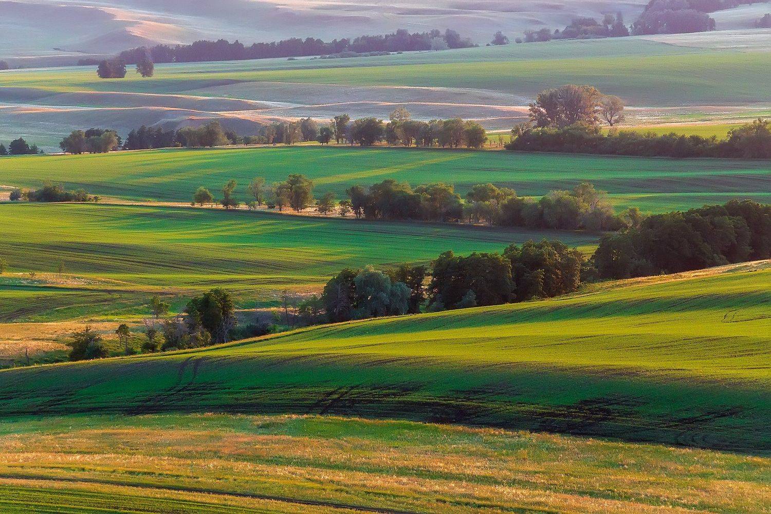 утро, рассвет, восход, туман, лучи, Леонид Максименко