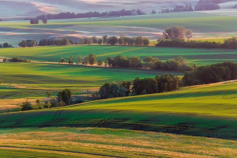утро, рассвет, восход, туман, лучи Диагонали фото превью