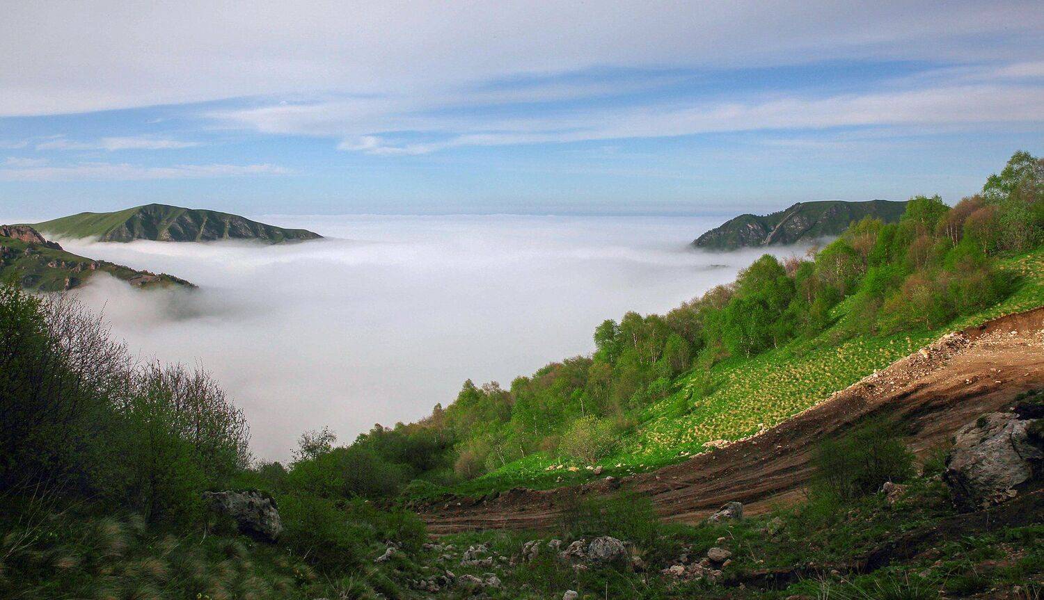 горы,вершины,пейзаж,небо,деревья,чечня,природа, Marat Magov