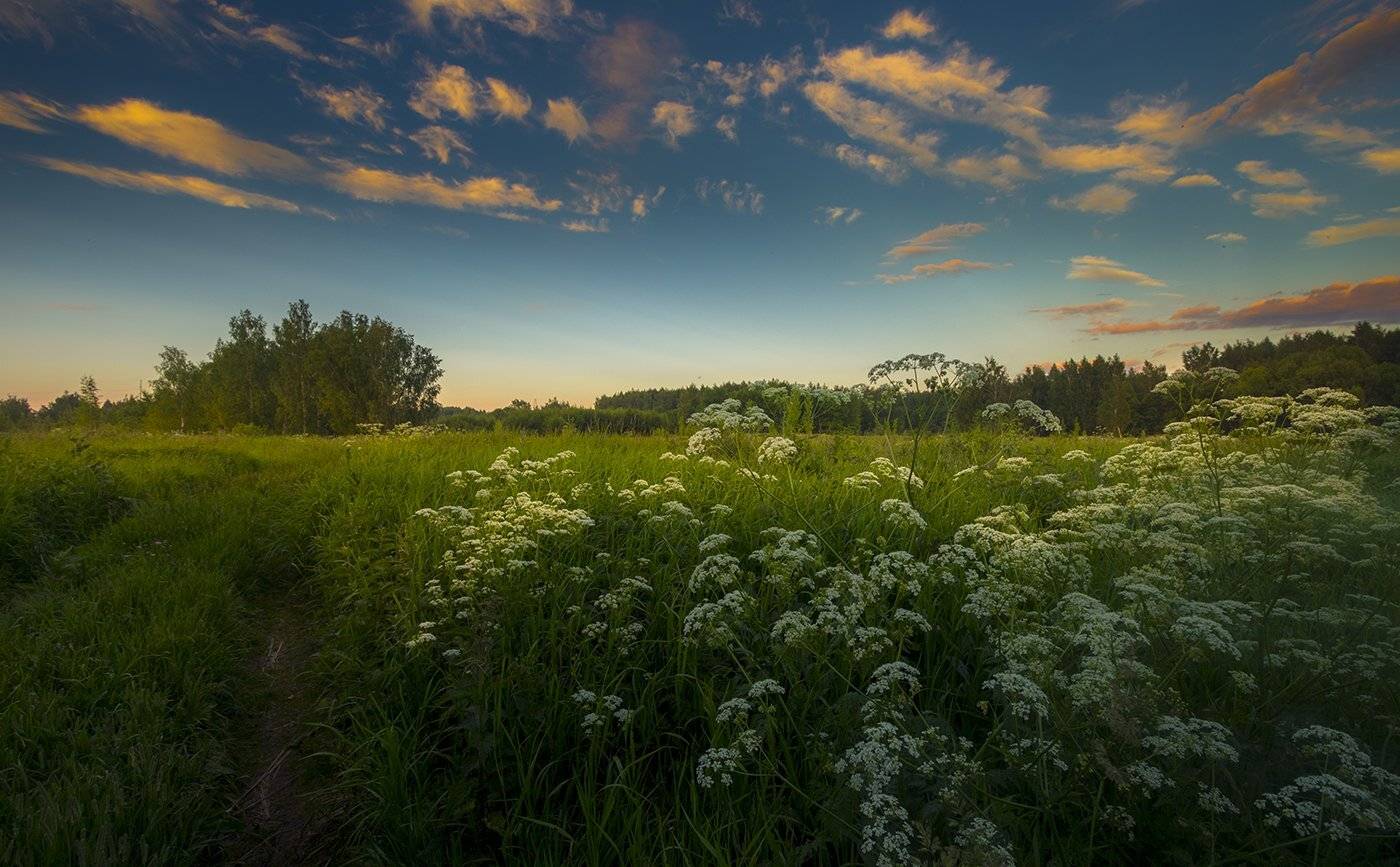 пейзаж, Елена Рубинская