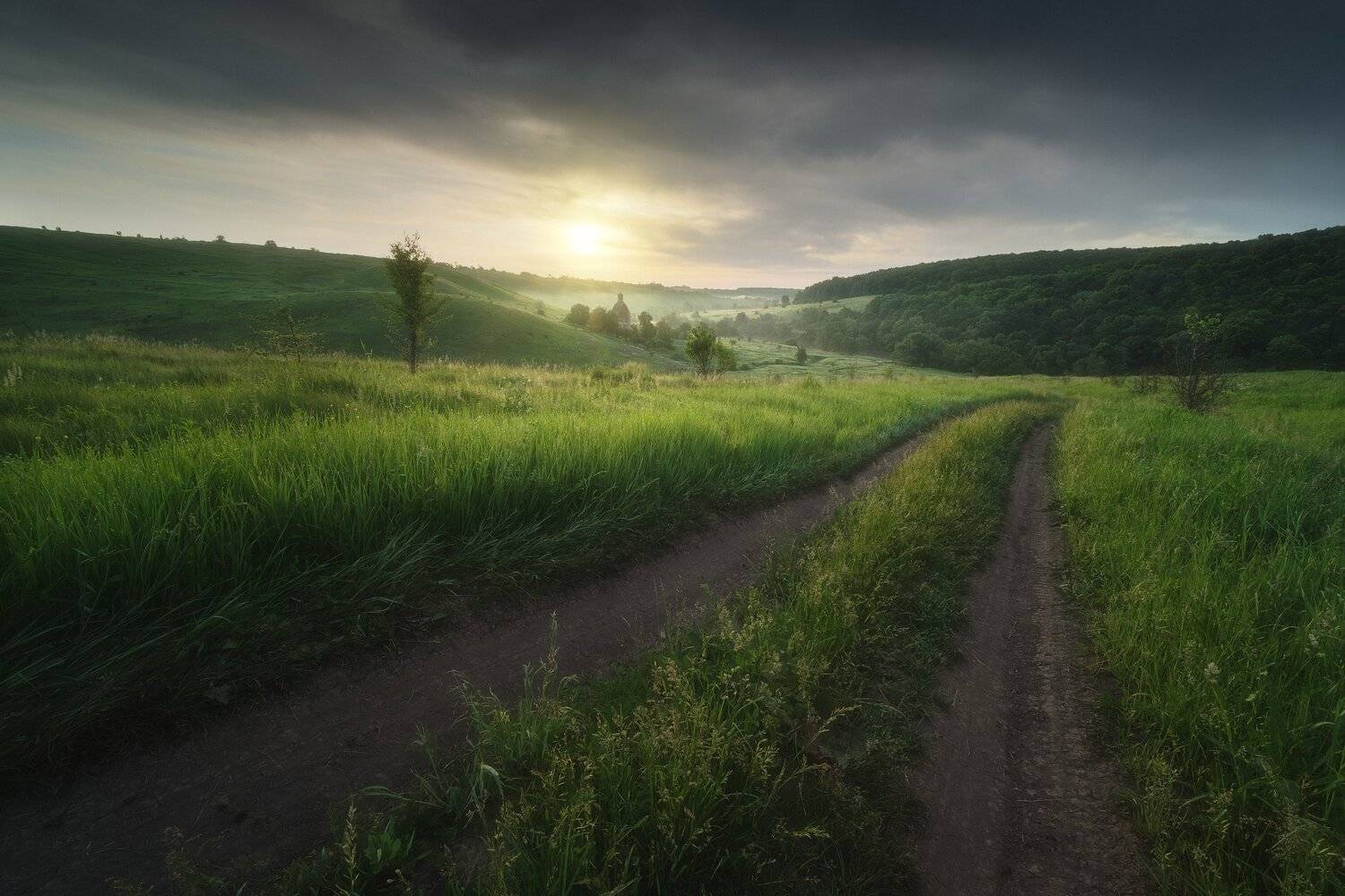 россия, тульская область, ефремов, красивая меча, река, лето, природа, пейзаж, рассвет, туман, солнце, луг, Оборотов Алексей