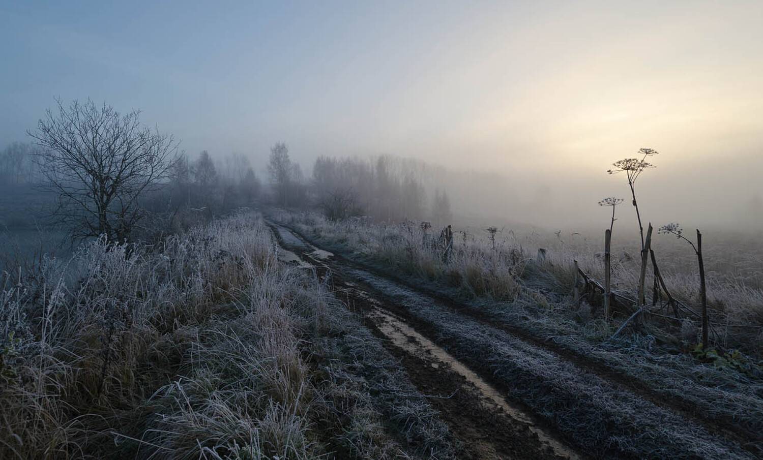 утро, туман, архангельское, Михаил Агеев