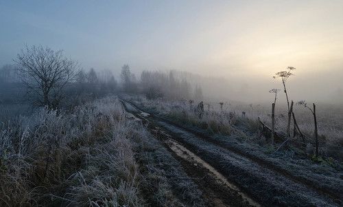 В тумане спрятался рассвет