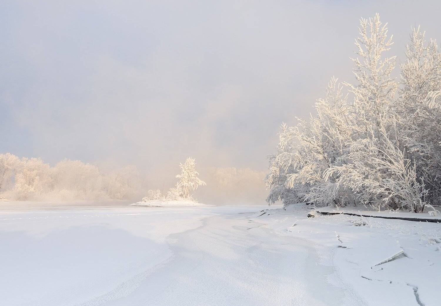 , Лещёнок Александр