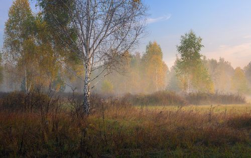 Светлеет небосвод
