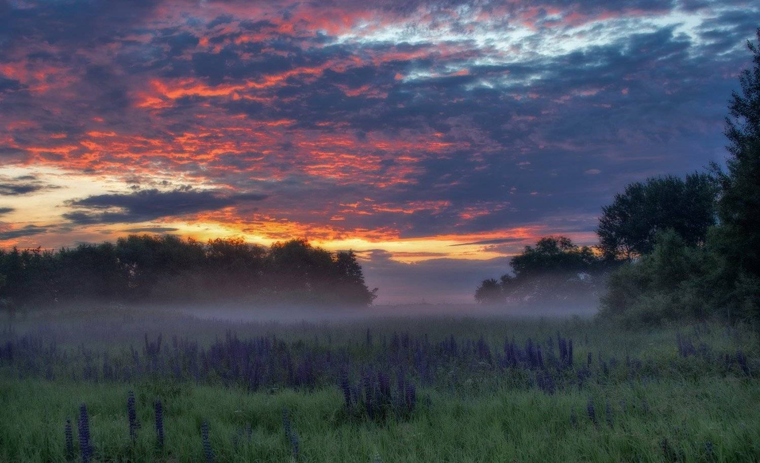 , Павел Дунюшкин