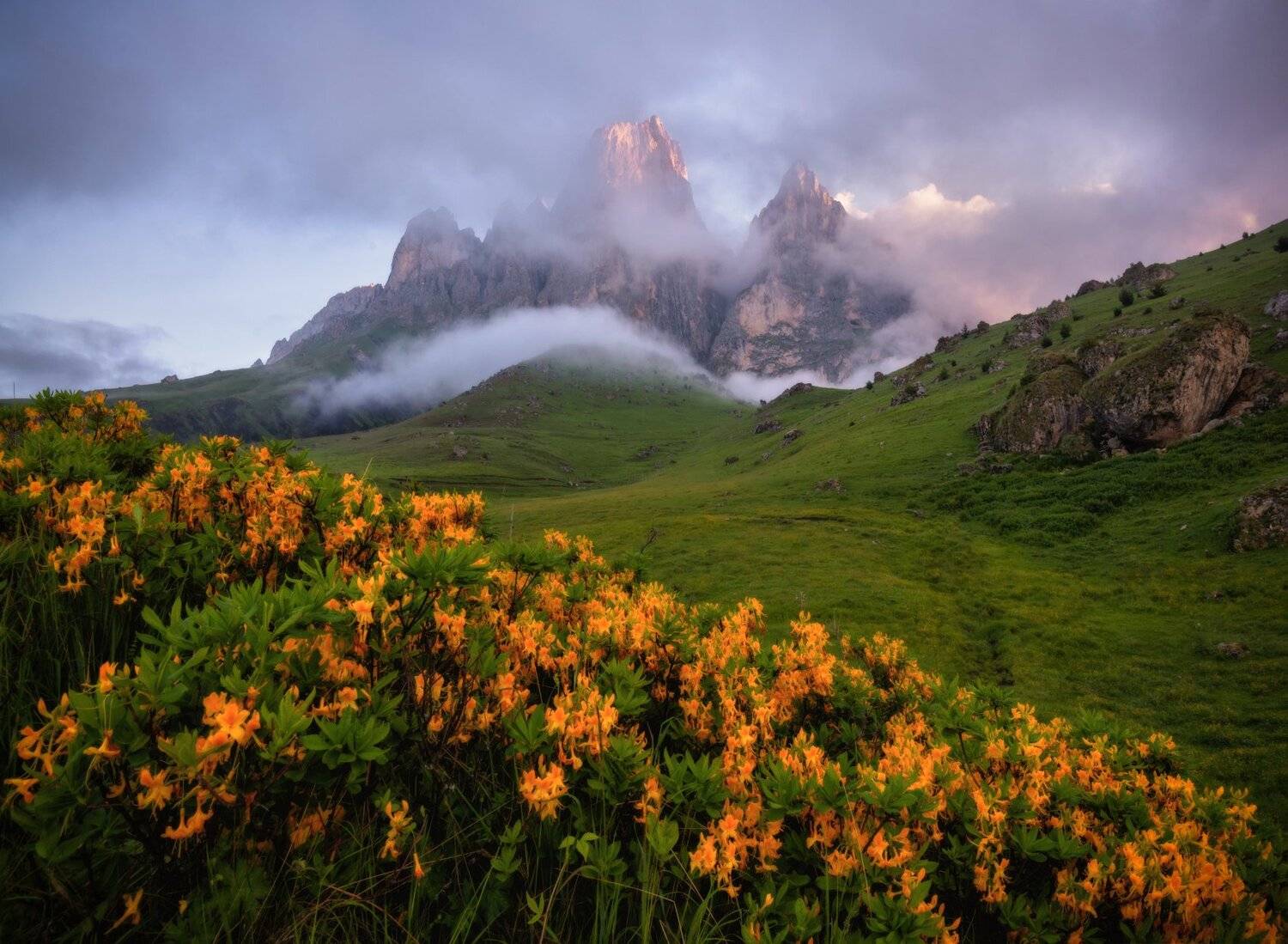кавказ, Андрей Грачев