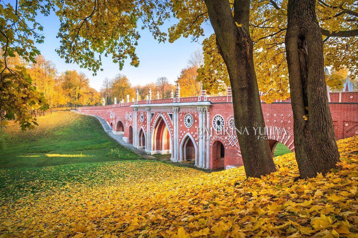 москва, царицыно, осень, пейзаж, Юлия Батурина