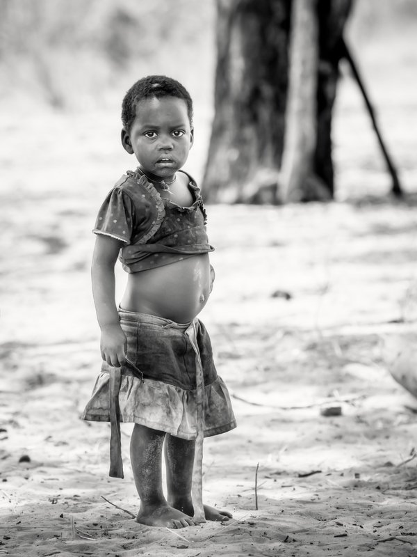 BUSZMENKA Z KALAHARI фото превью