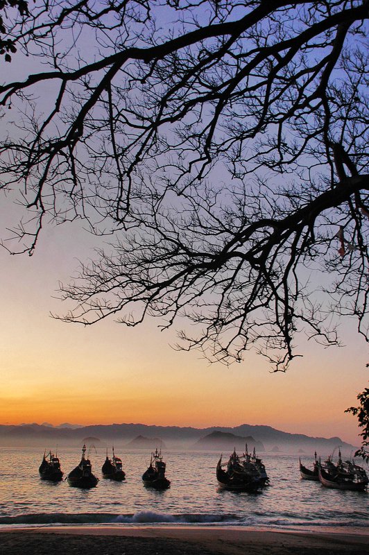 Morning day  фото превью