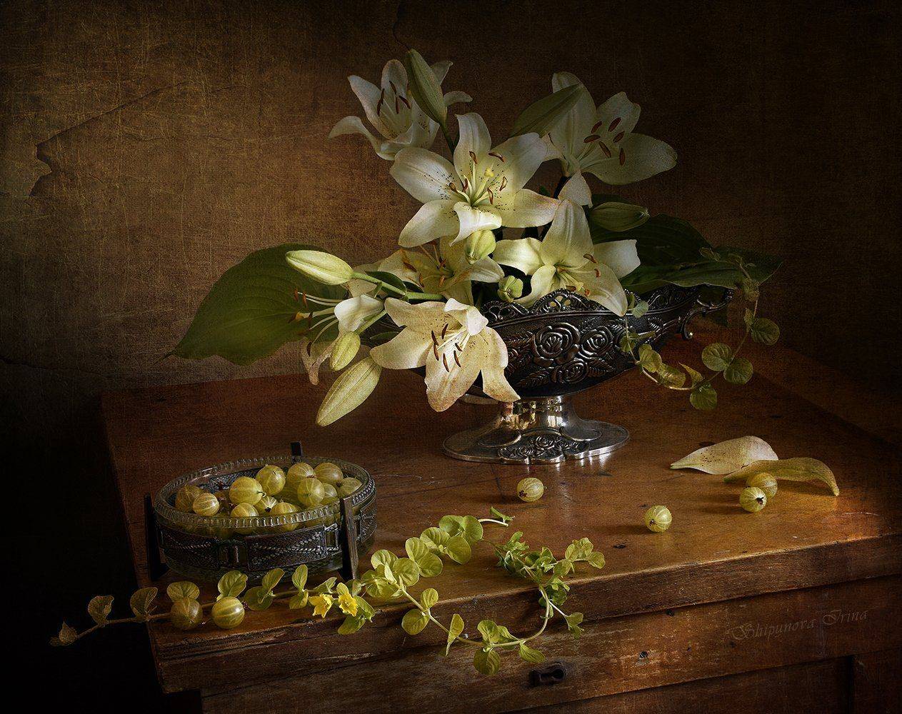 , Шипунова Ирина