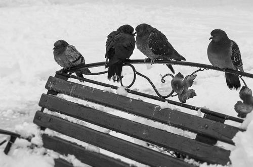 Тяжёлая доля...