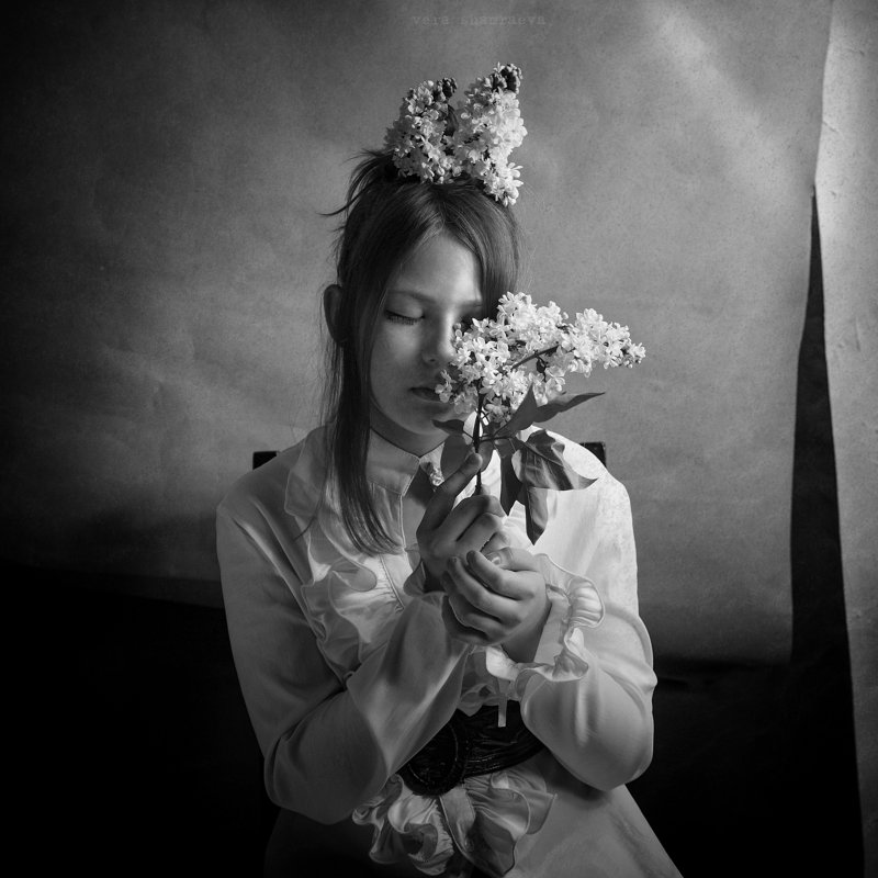 Белая сирень фото превью