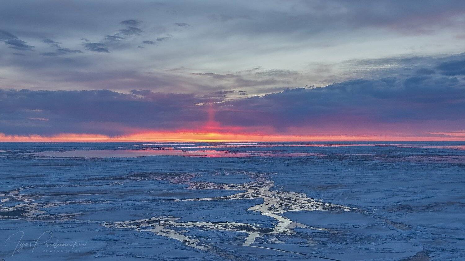 , Игорь Приданников