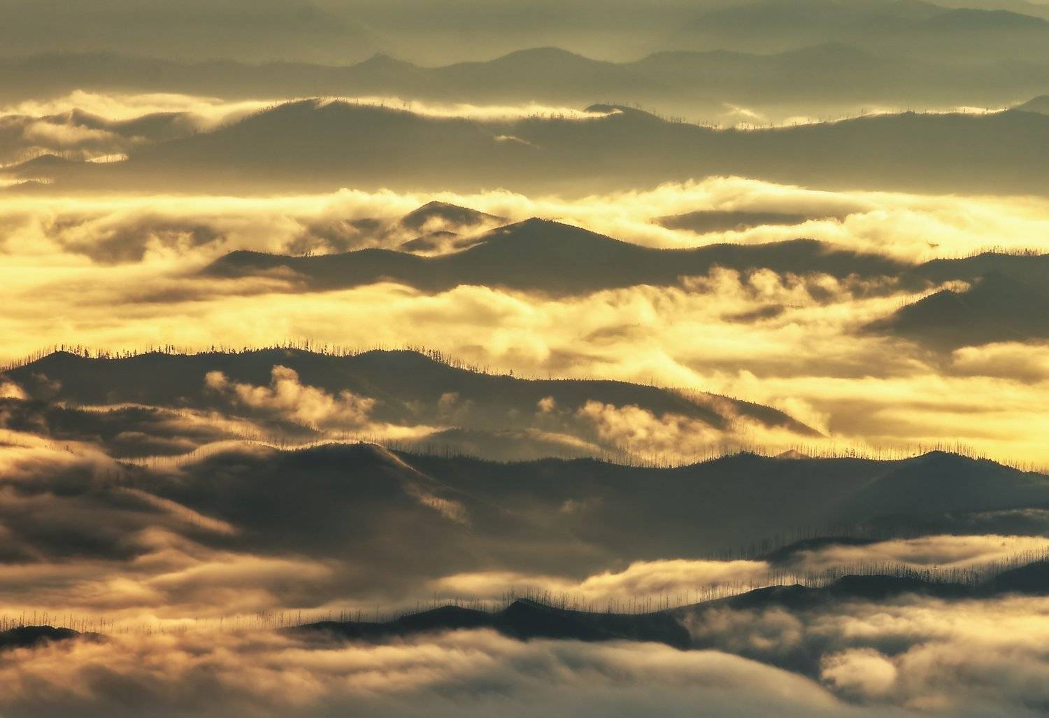 Хабаровский край, горы, рассвет, Виталий Берков