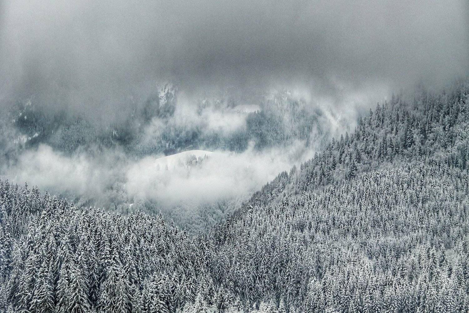 южный урал,оренбургская область, орск, новотроицк,башкирия, башкертостан, Качурин Алексей