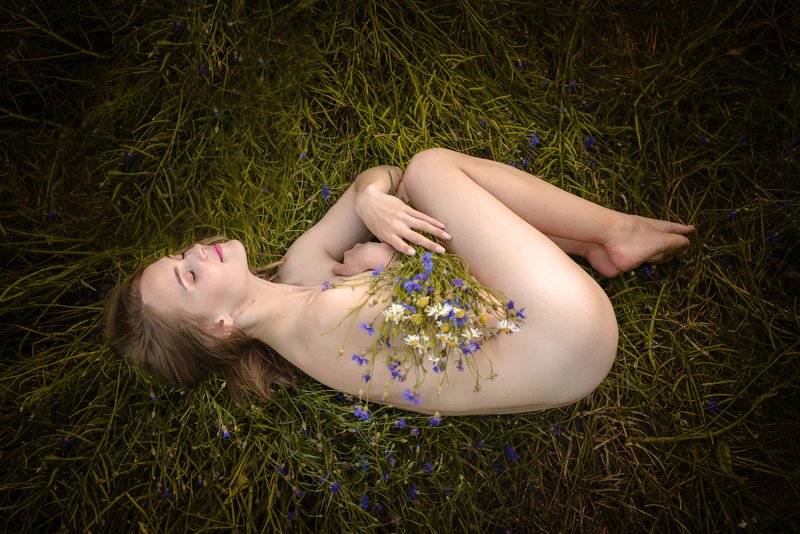 девушка, лето, цветы, васильки, поле, вечер, ню, обнаженный, кожа, свет Рождение лета фото превью