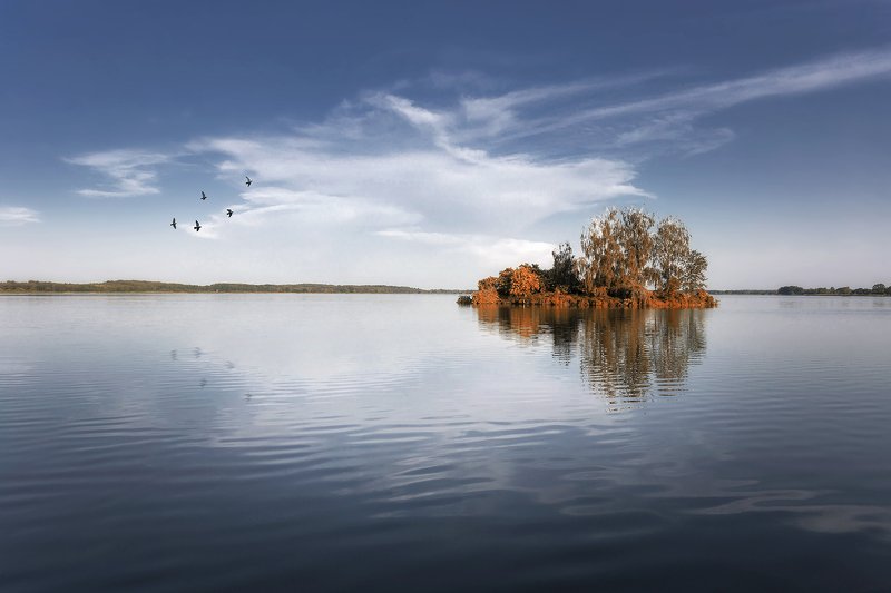 lake, poland, island, trees, minimalism, birds, spring, sky Island on the lake фото превью