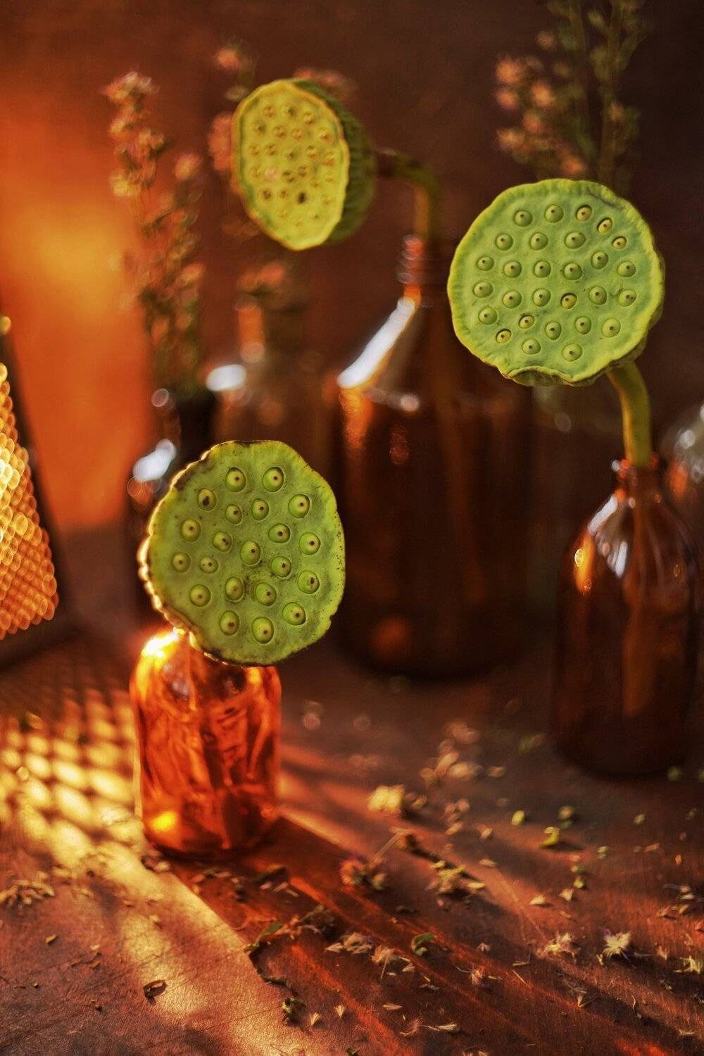 натюрморт, лотос, цвета, зеленый, коричневый, Анастасия Зубкова