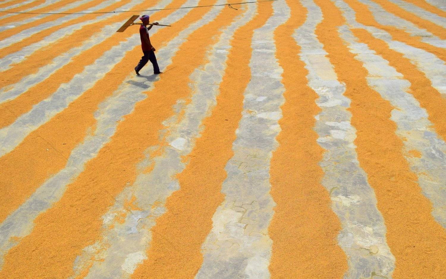 #lifestyle #yellow #pattern #worker #bangladesh, Kajol Dey