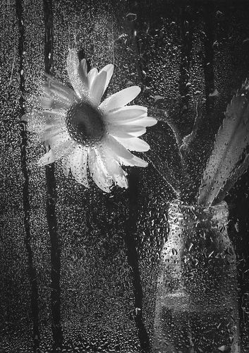 Смотрю на дождь...