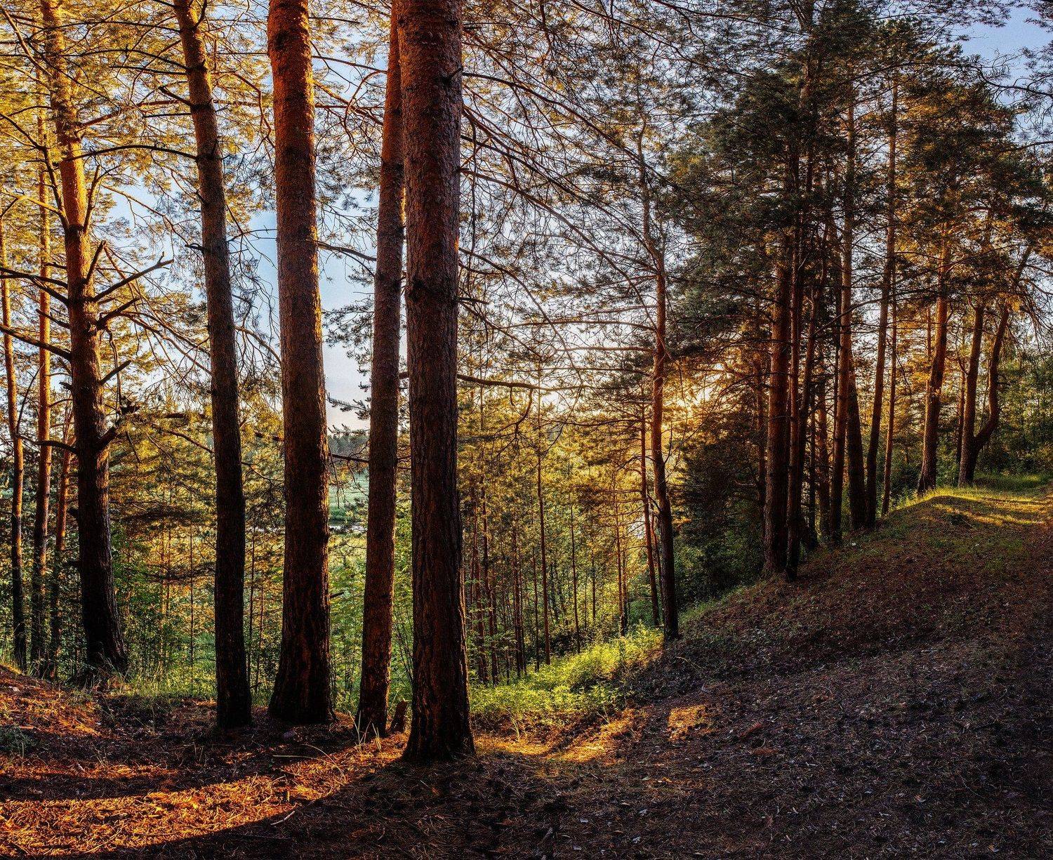иваново, Лежнево. Ивановская область, Воробьёв Евгений