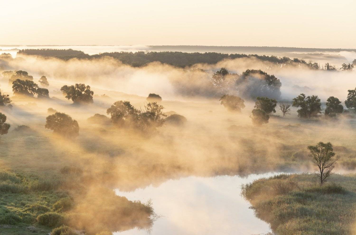 , Дмитрий Новоселов