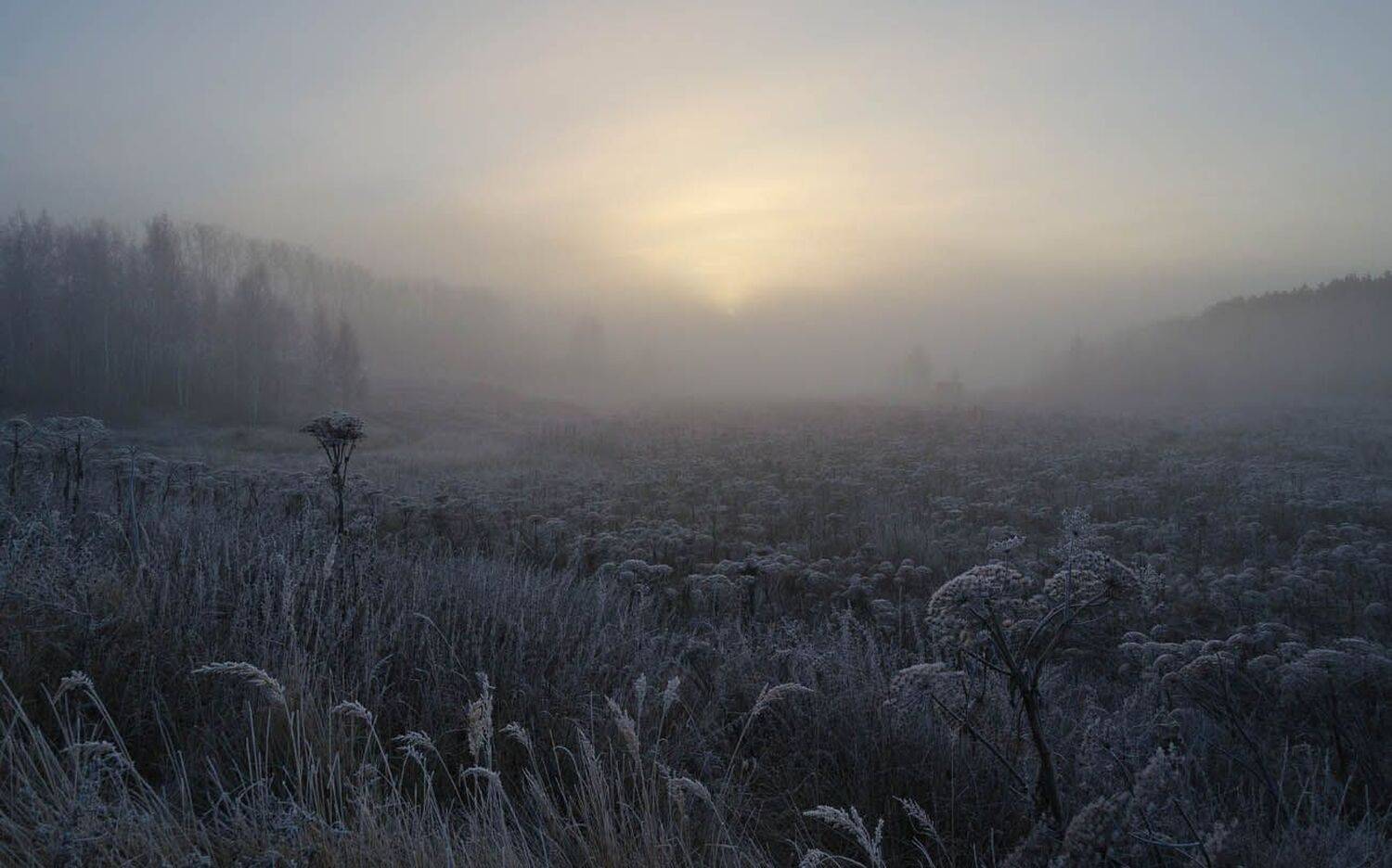 утро, туман, архангельское, Михаил Агеев