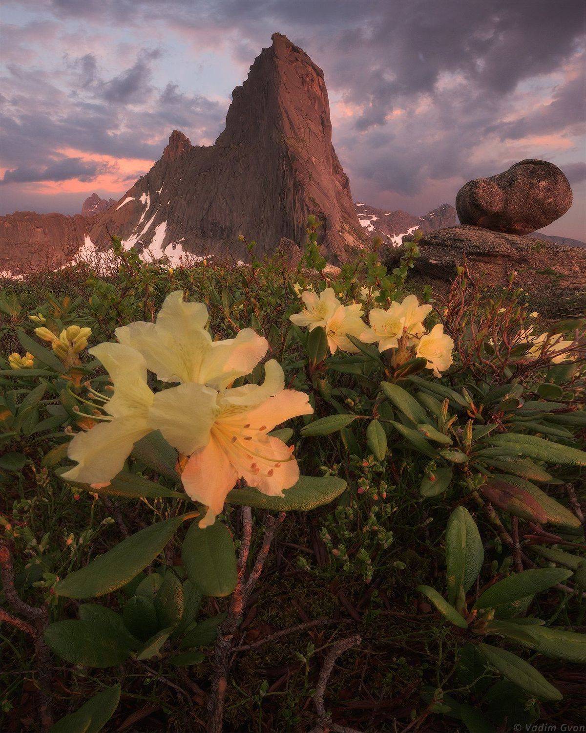 ергаки, Вадим Гвон