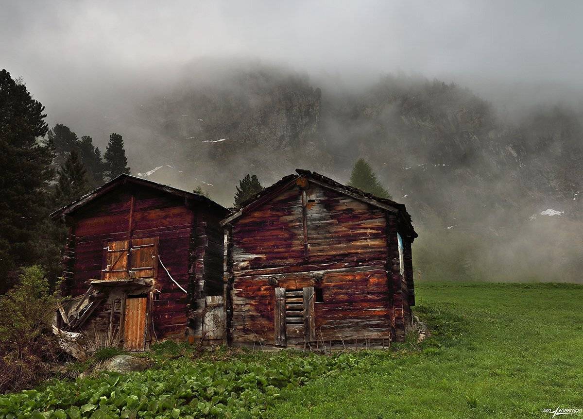 swiss, Матвеев Николай