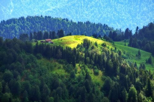 Домик в горах.