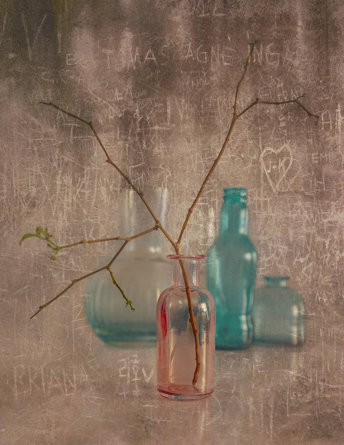 , mehmet enver karanfil