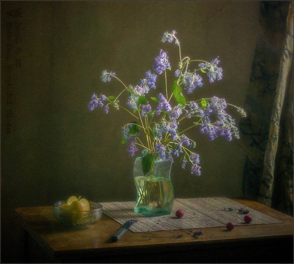 , Stein Georg