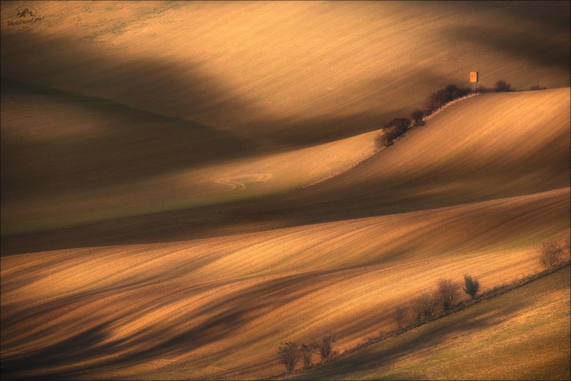 Чехия, Южная Моравия, осень, тени, свет, сельский пейзаж, Czech, Czech Republic, South Moravia, autumn, фототур в Южную Моравию,phototravel.pro Ускользающие тени .. фото превью