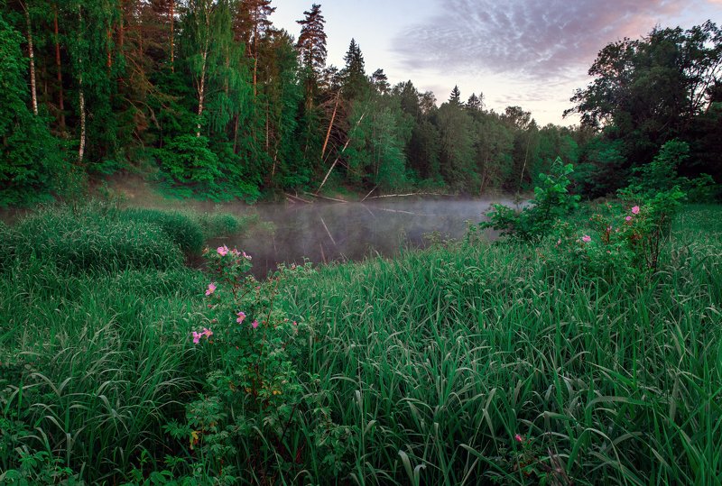 На рассвете фото превью