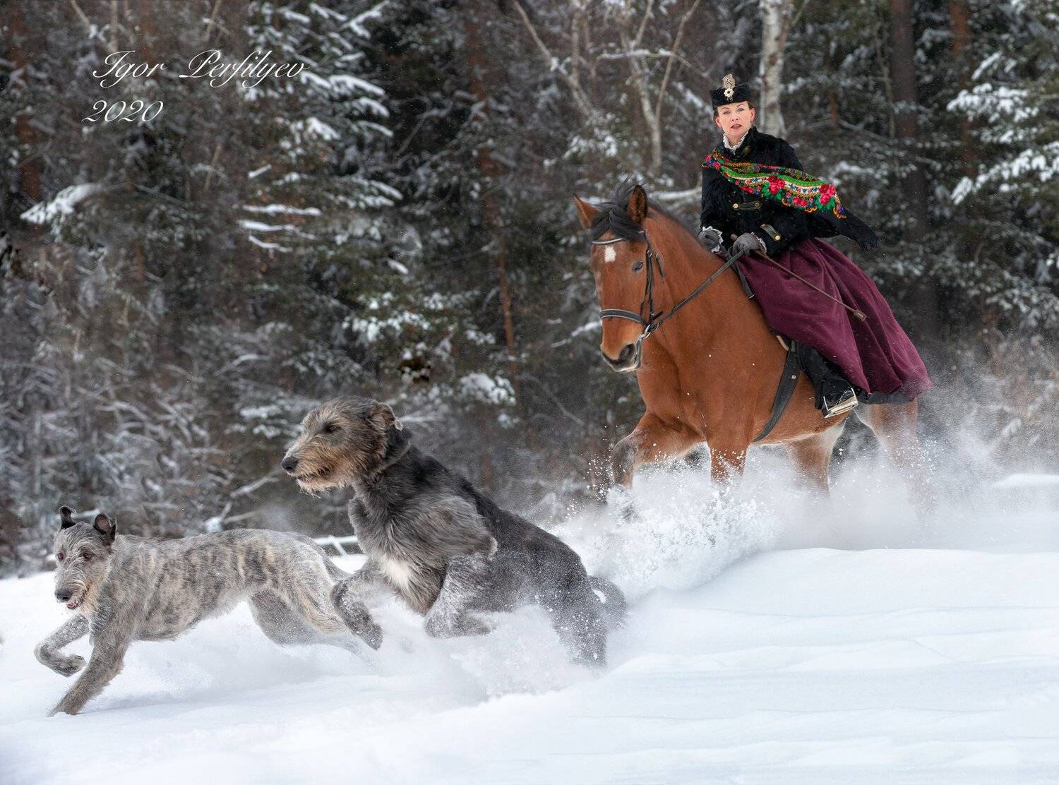 , игорь перфильев