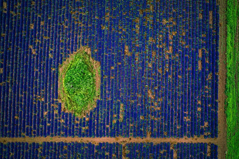 Ребус фото превью