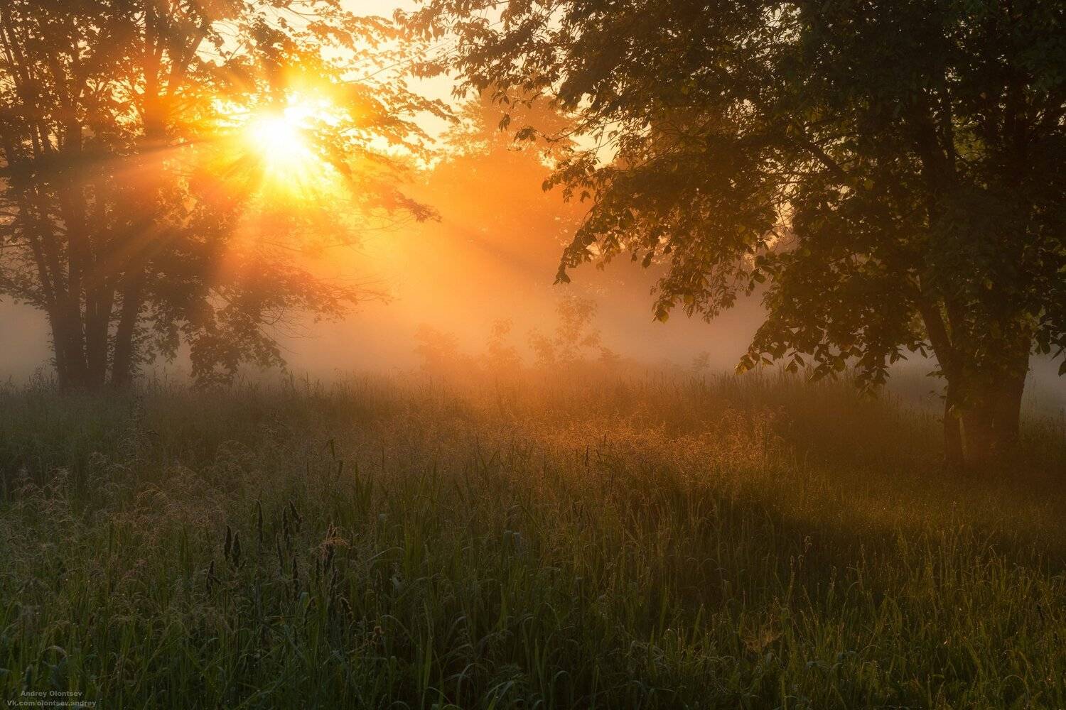 солнце, россия, рассвет, природа, подмосковье, погода, пейзажи, пейзаж, отражение, наукоград, красота, дубна, вода, весна, weather, water, spring, russia, reflection, naukograd, nature, moscow, landscape, dawn, canon, dubna, beauty, Андрей Олонцев