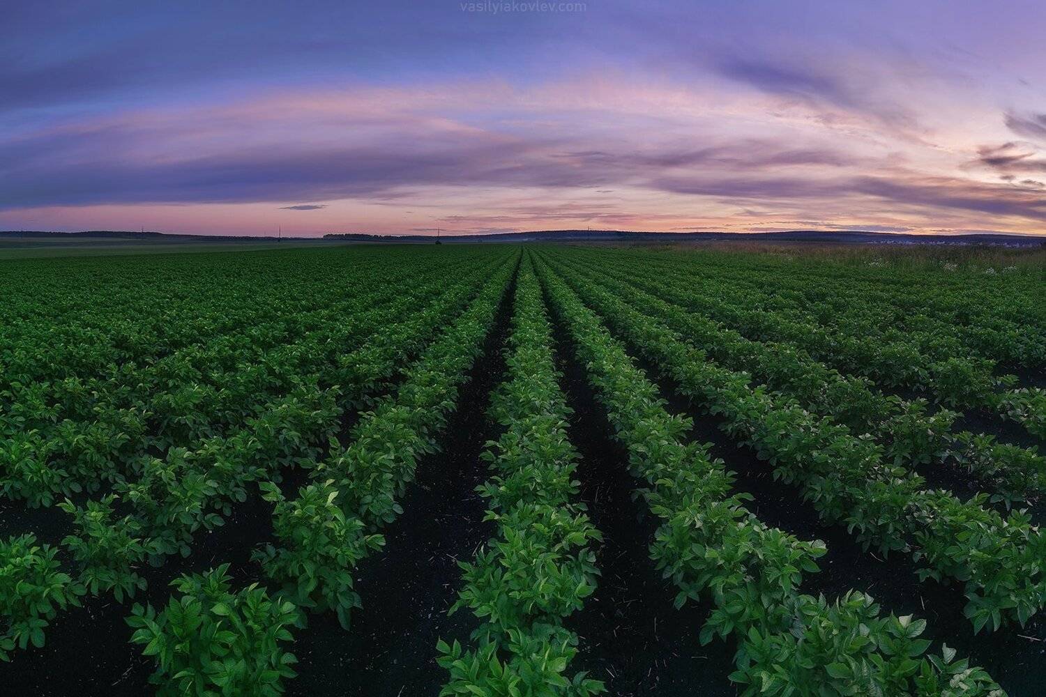 екатеринбург, ночь, яковлевфототур, фототур, василийяковлев, Василий Яковлев