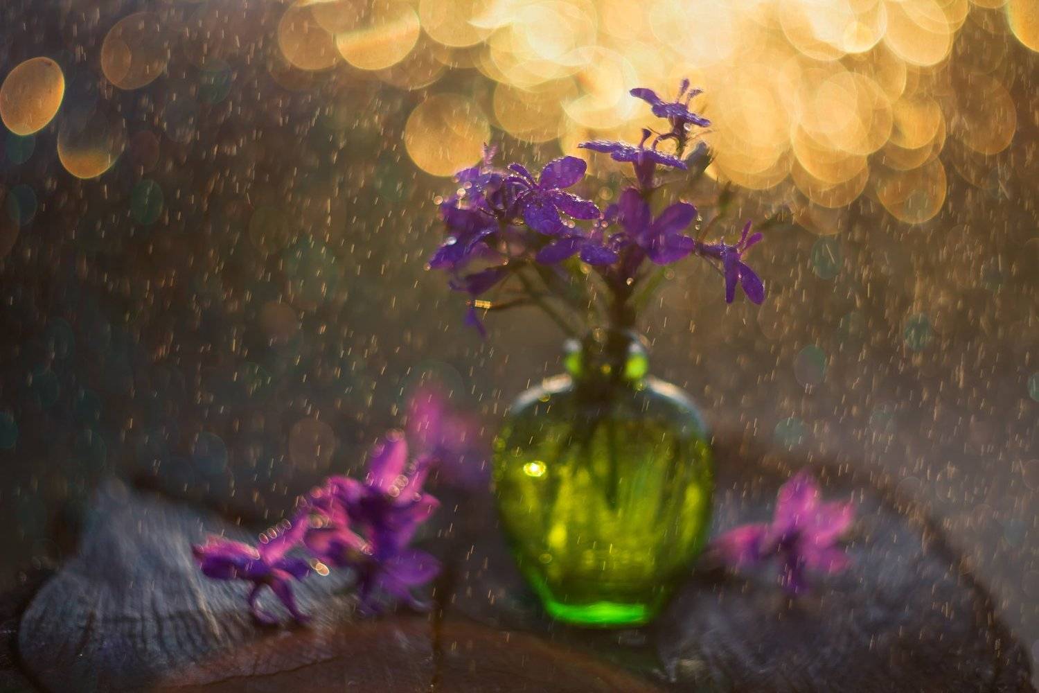 цветы. боке, закат, фиолетовые, зелёное стекло, флакон,капли, Лионелла Зимина