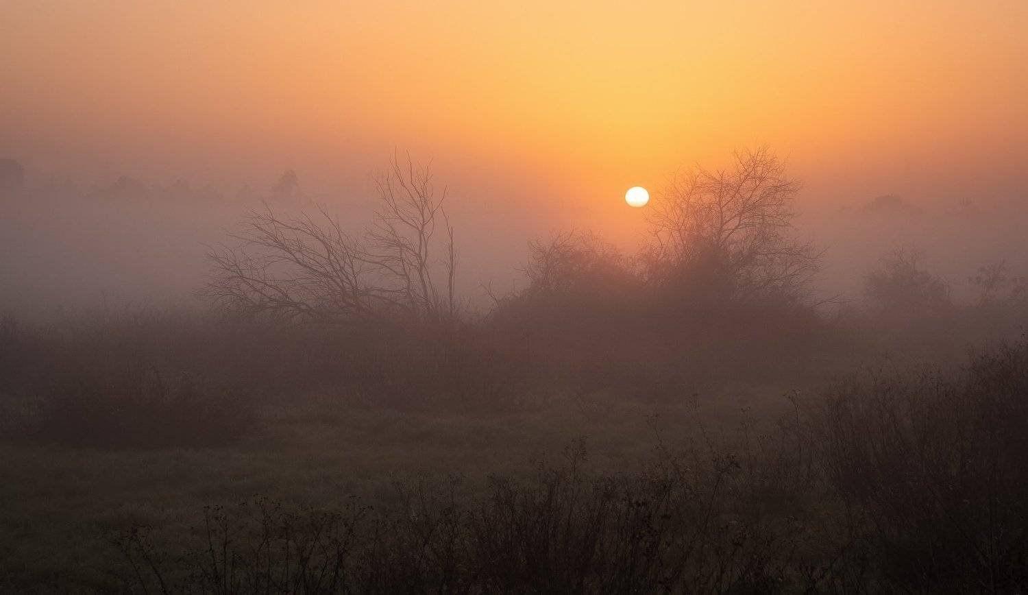 , Григорий Крамаренко
