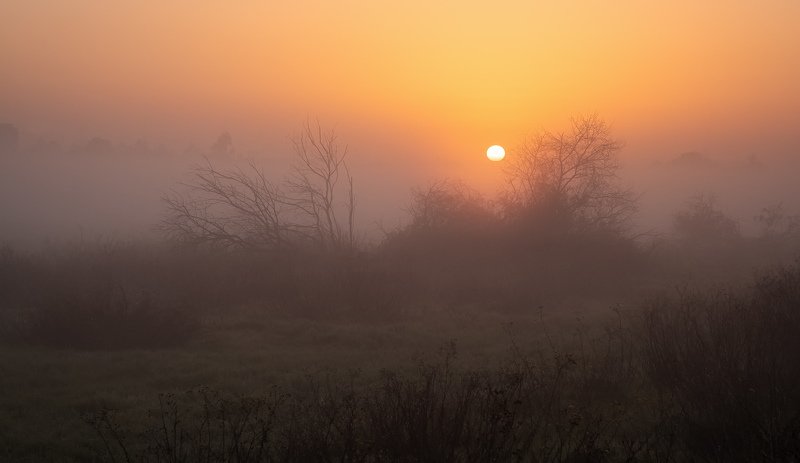 Every Sunrise Brings a New Day фото превью