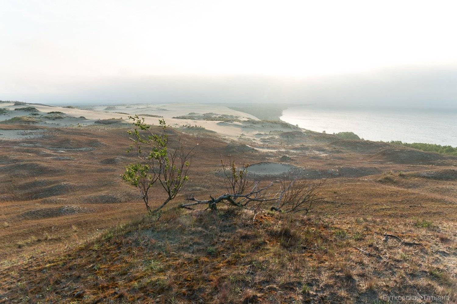 , Татьяна Рутковская