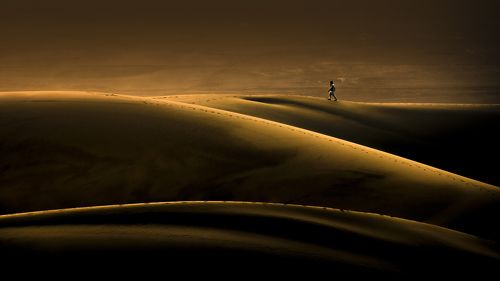 Walk in Desert II
