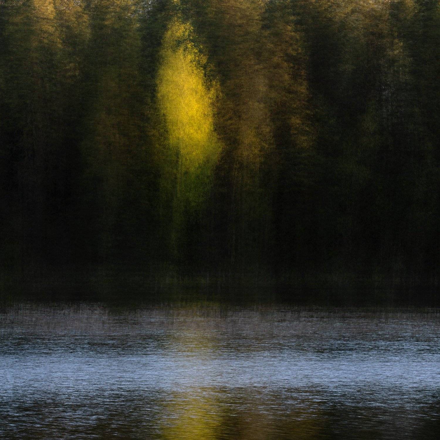 , Федотов Антон