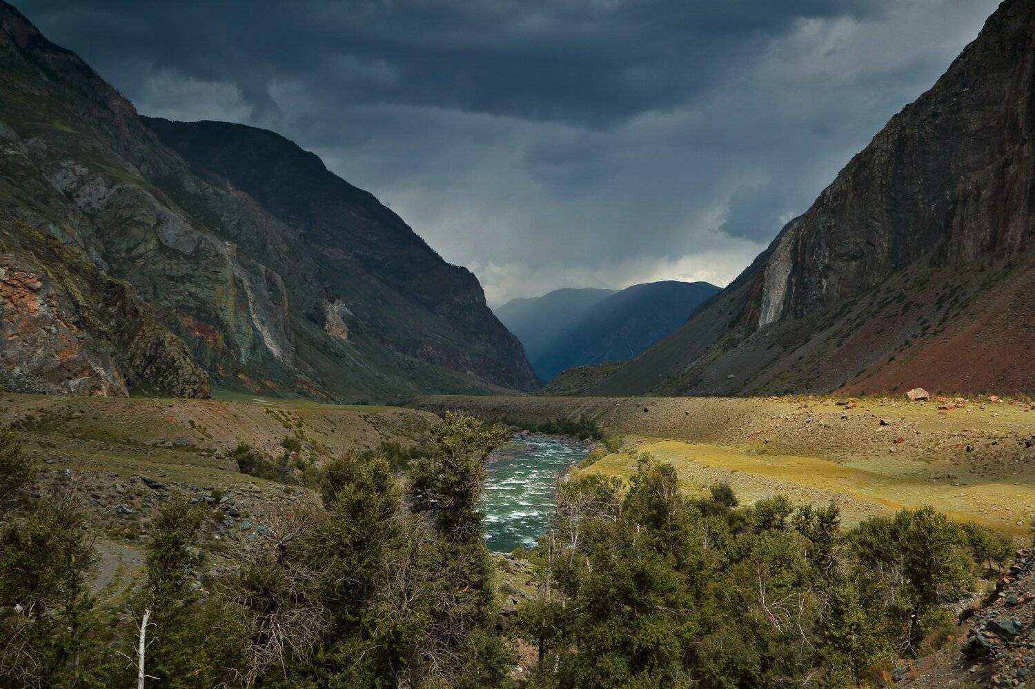 , Евгений Зинов