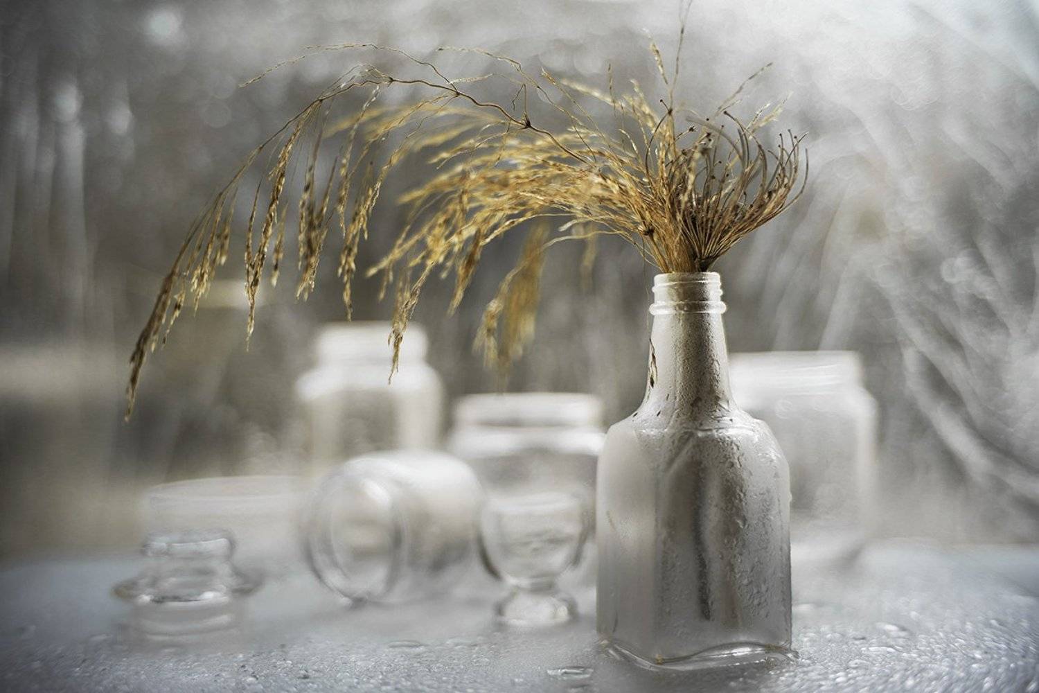 , Виктория Солодар