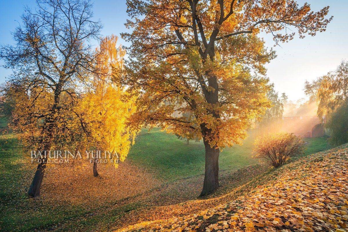 москва, царицыно, осень, пейзаж, Юлия Батурина