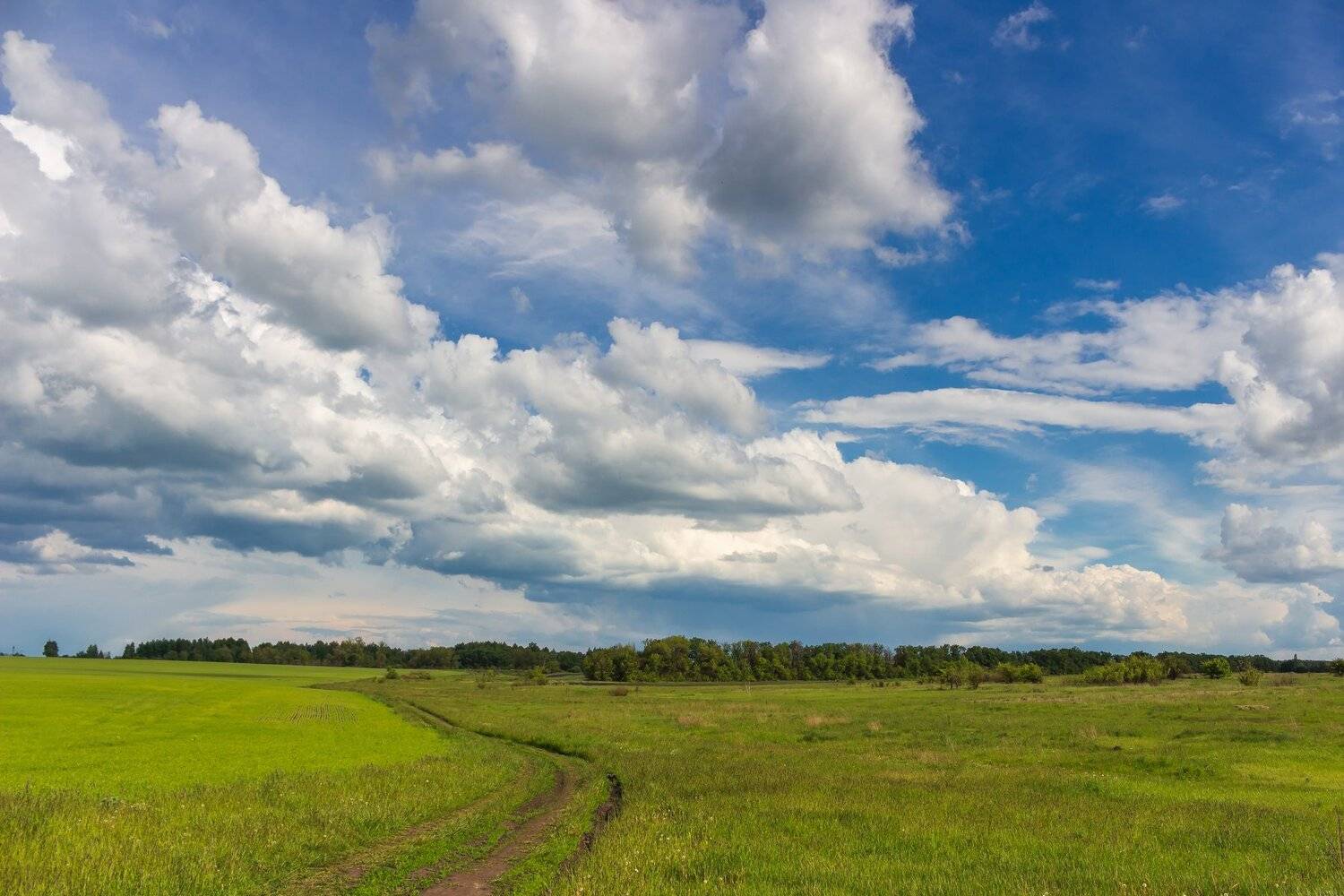 луга, облака, небо, природа, деревья, дали, дорога, дороги, Руслан Востриков